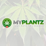 How the platform MyPlantz works?